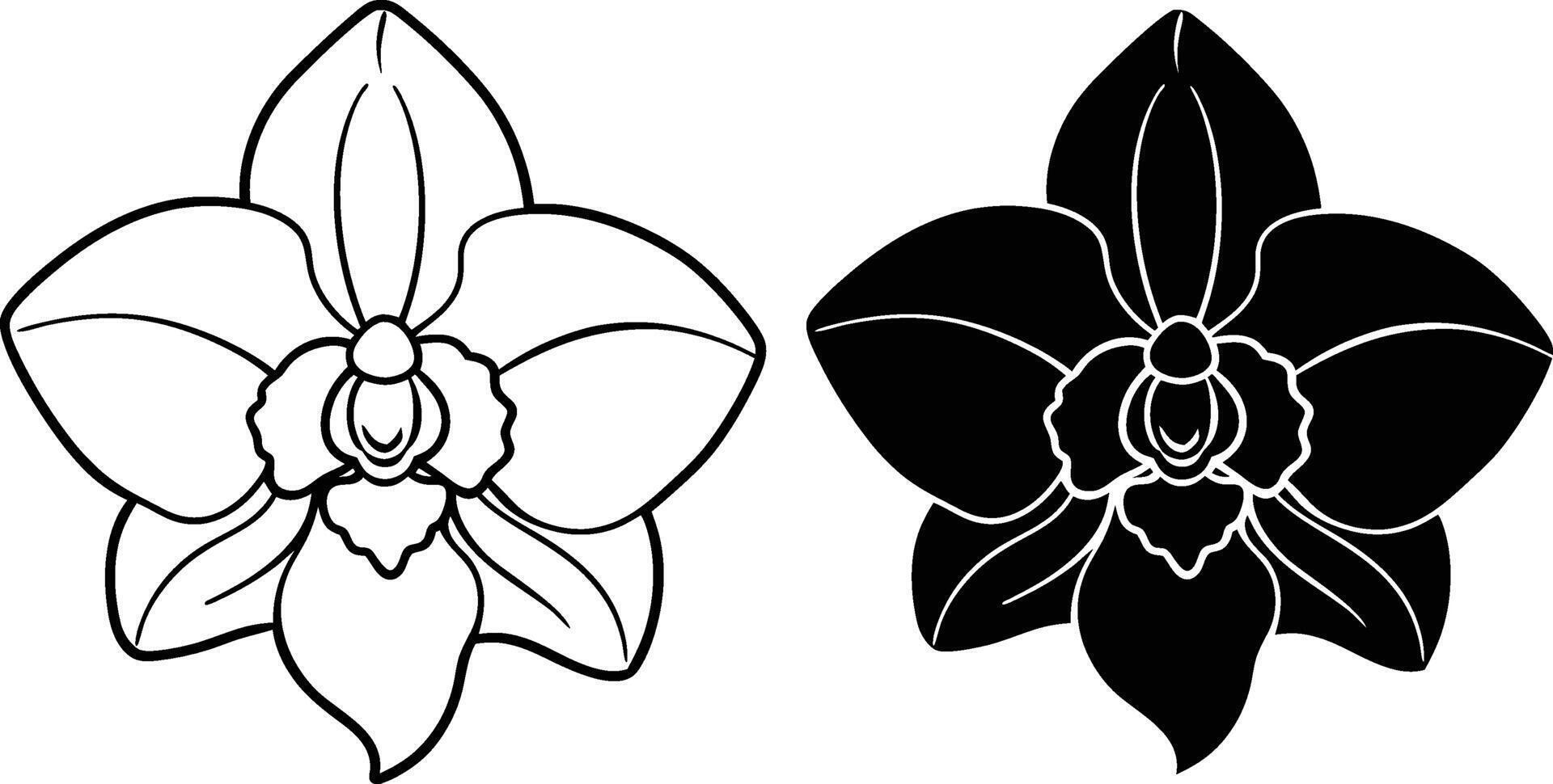 Orchid Flower Line Art, Black and White, Botanical Illustration, Floral Design, Tattoo Template, Sim vector