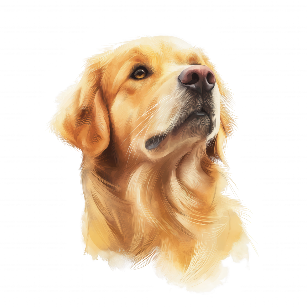 A dog with a brown nose and brown eyes is staring at the camera png
