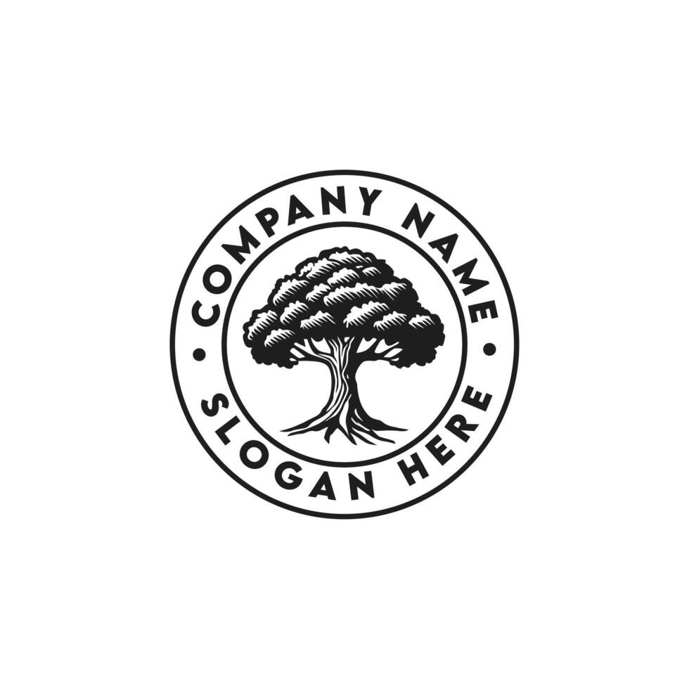 Big Tree Oak Banyan Maple Stamp Seal Emblem Label logo design For All Business Company vector