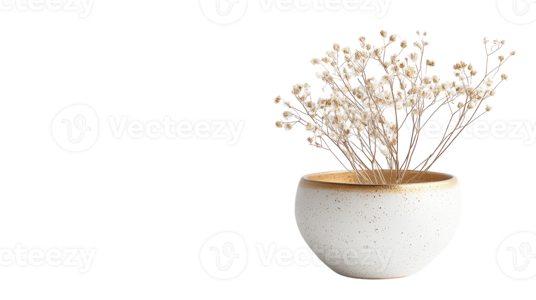 A white vase with dried plants in it png