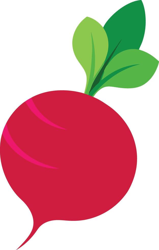 Bright and Bold Root Vegetable vector