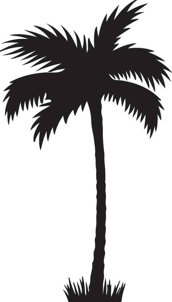 A black silhouette of a plam tree vector