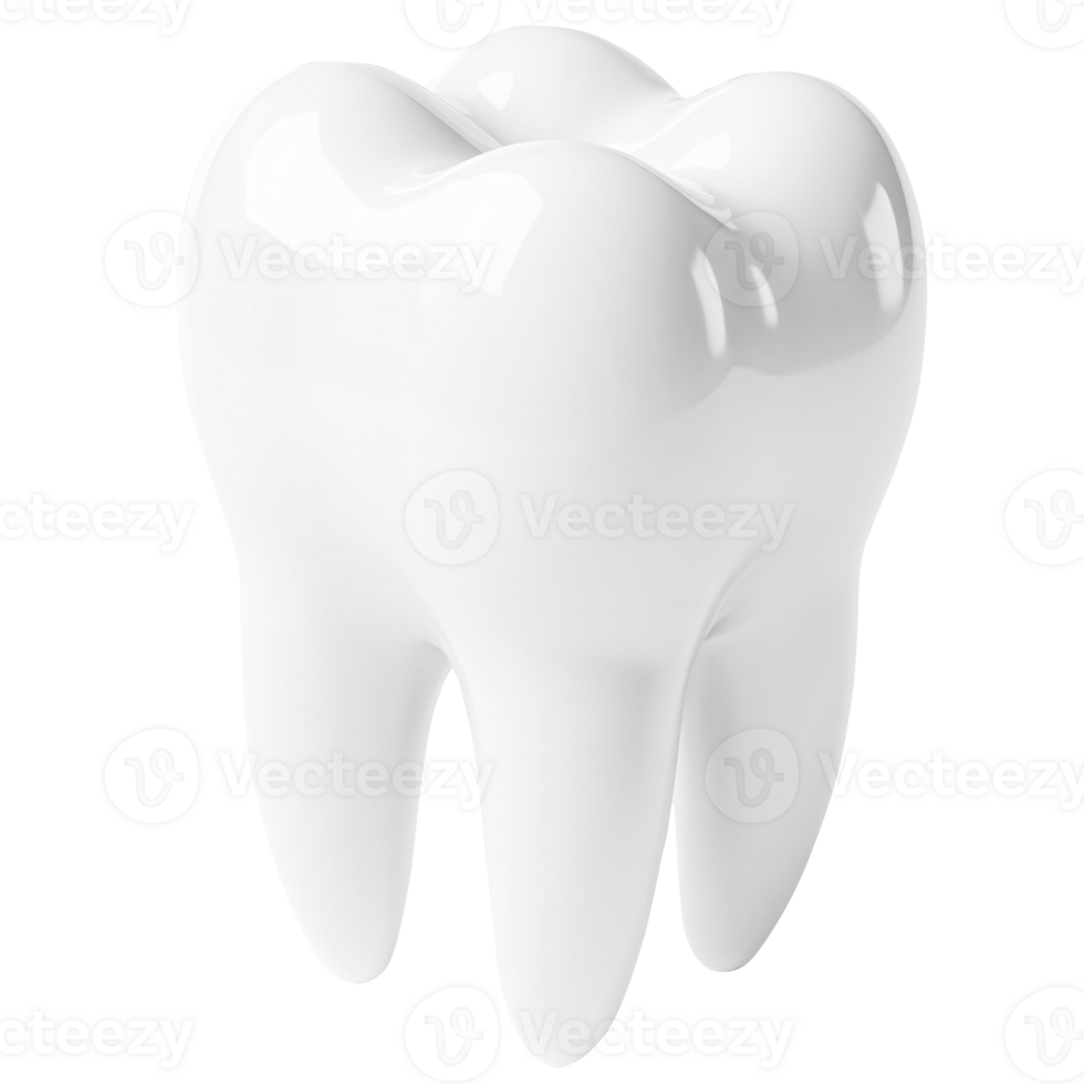 a tooth on a transparent background png