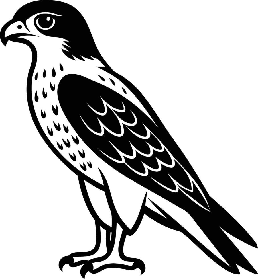 Majestic Hawk Silhouette Graceful Shadows in Flight vector