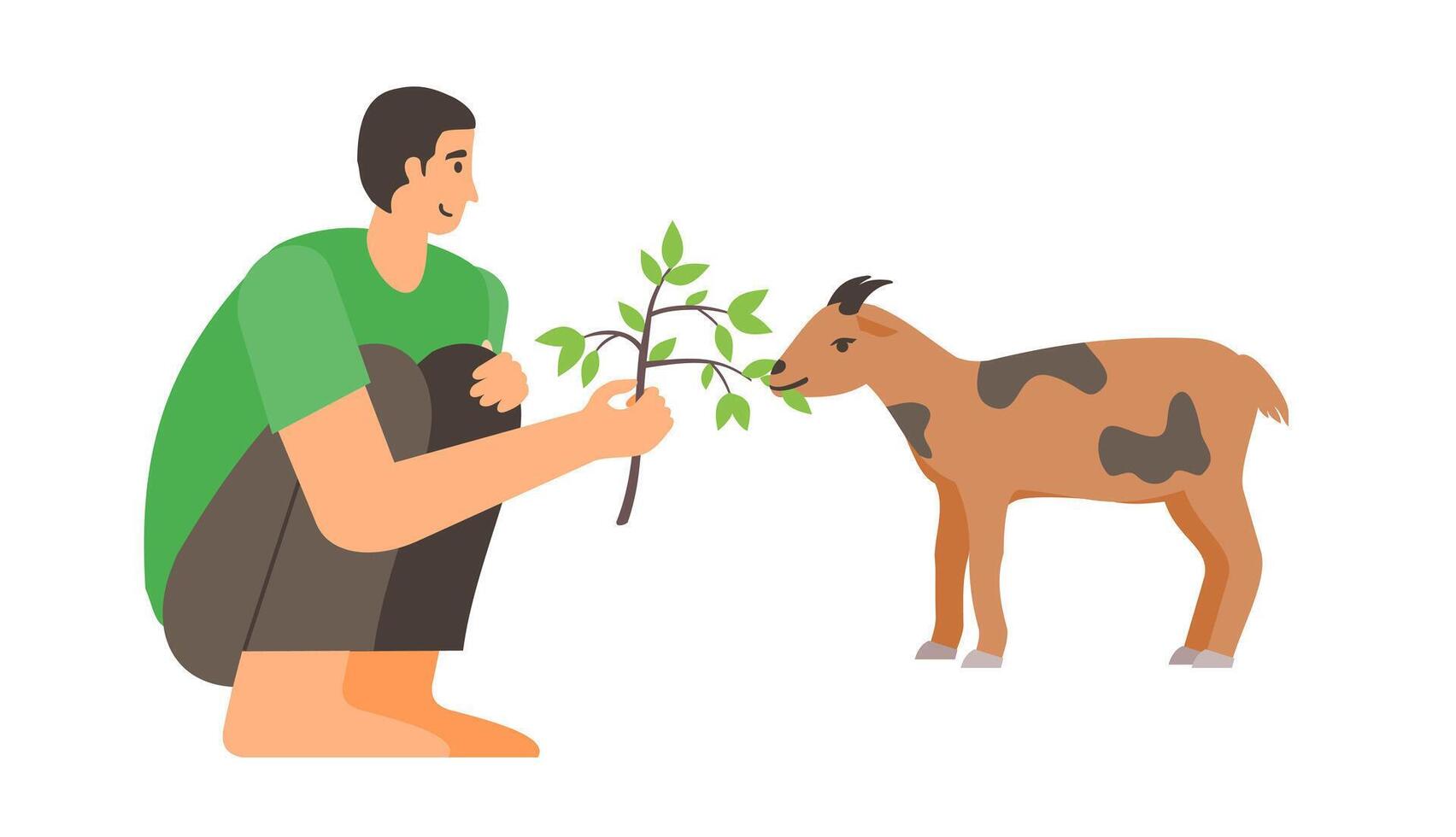Man feed a goat with small green leaves in branch vector