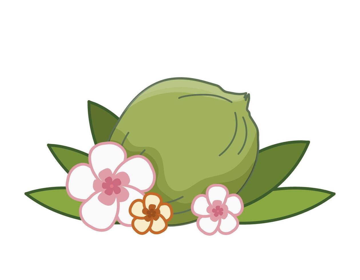 Refreshing tropical green Coconut with lay on green leaves and Hawaiian pink and yellow flowers for summer enjoyment. Isolated illustration. vector