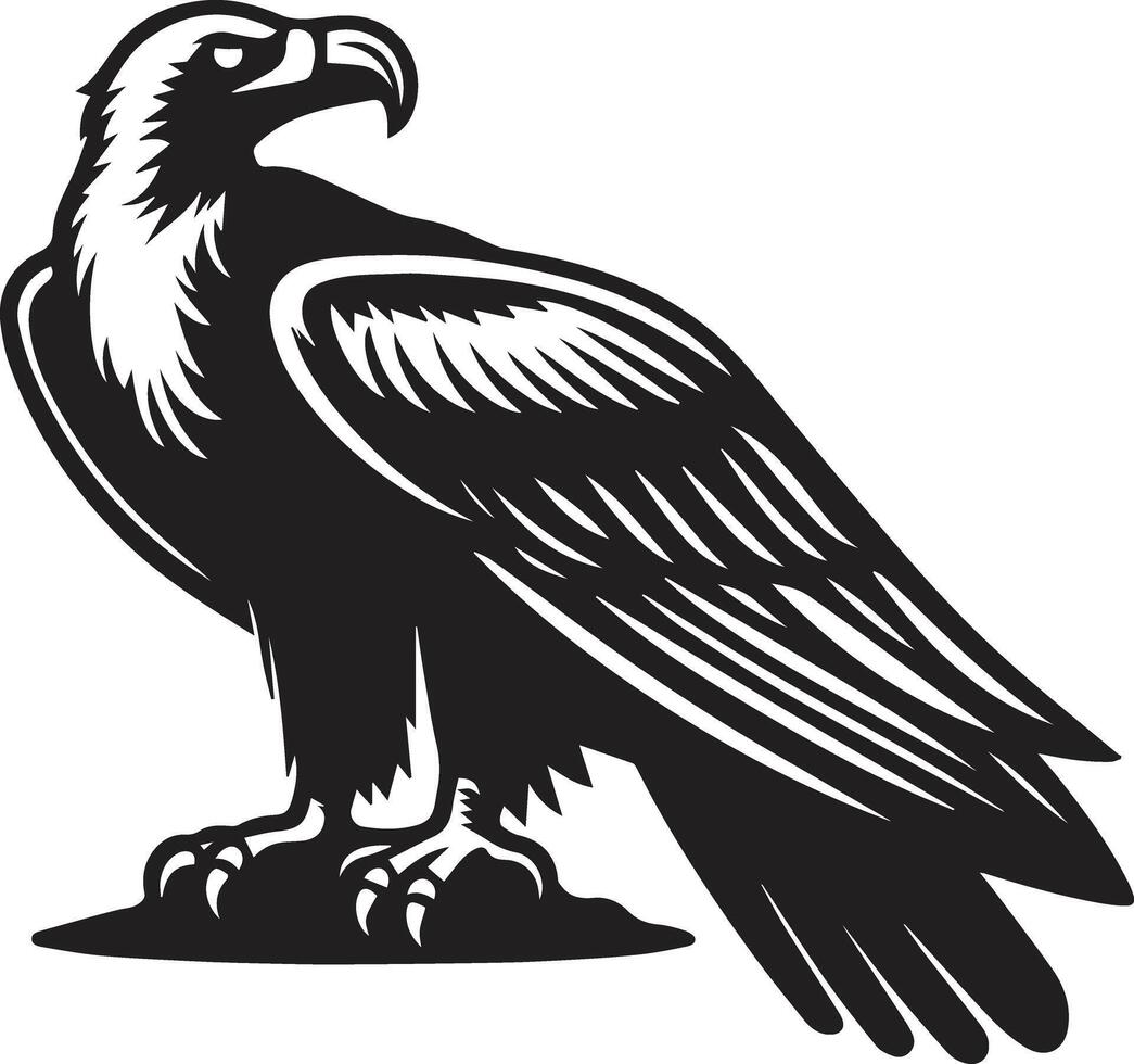 Condor bird silhouette illustration. vector