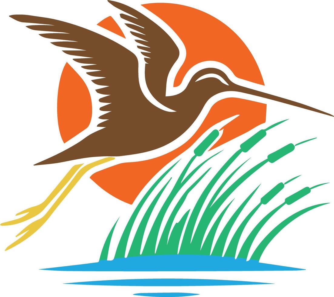 A clean flat color illustration of a Snipe birds. vector