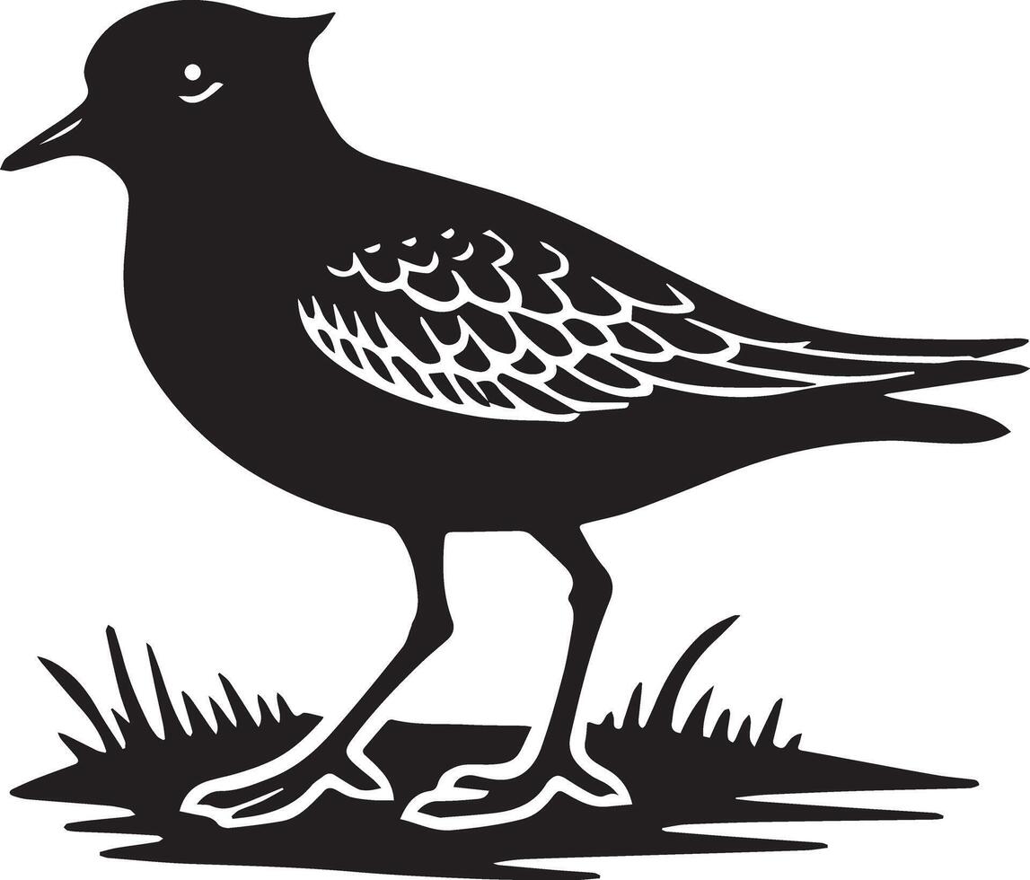 A sleek silhouette image of a plover, capturing its distinct stance and coastal charm vector