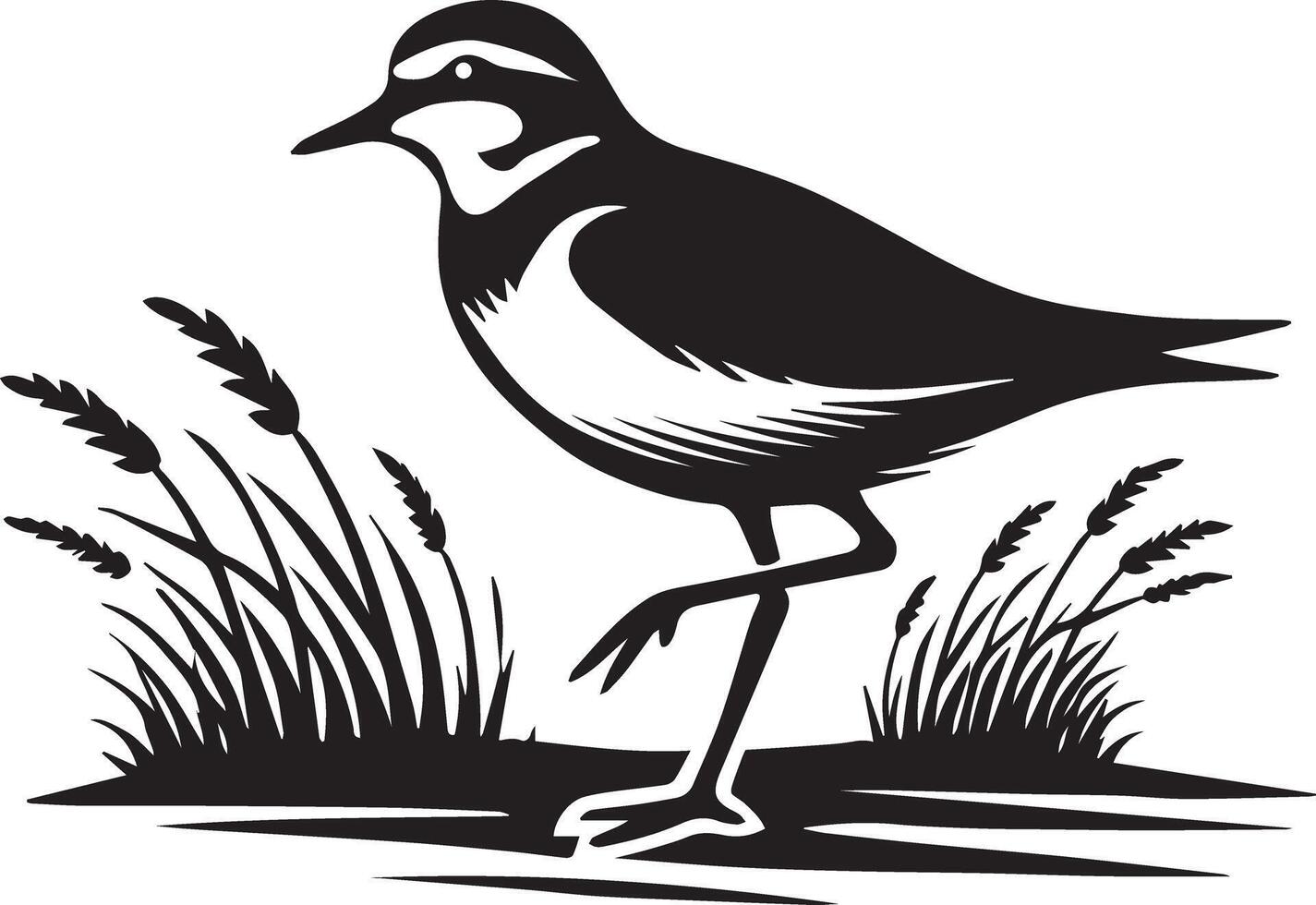 Beautiful Plover bird silhouette illustration. vector