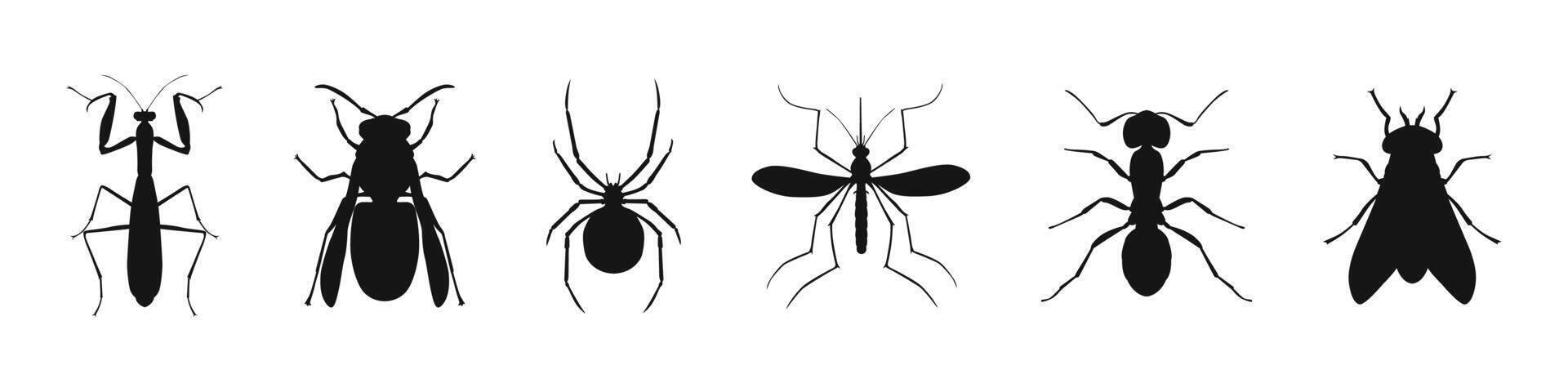 Insect Silhouettes Collection Flat Black Set vector