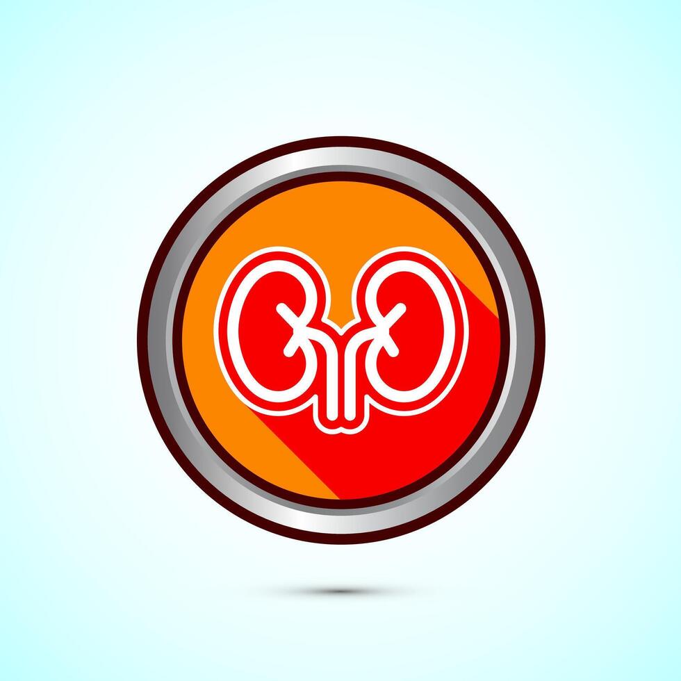 Kidney icon design. Human organ icon, Kidney care logo symbol. Orange shadow button design vector
