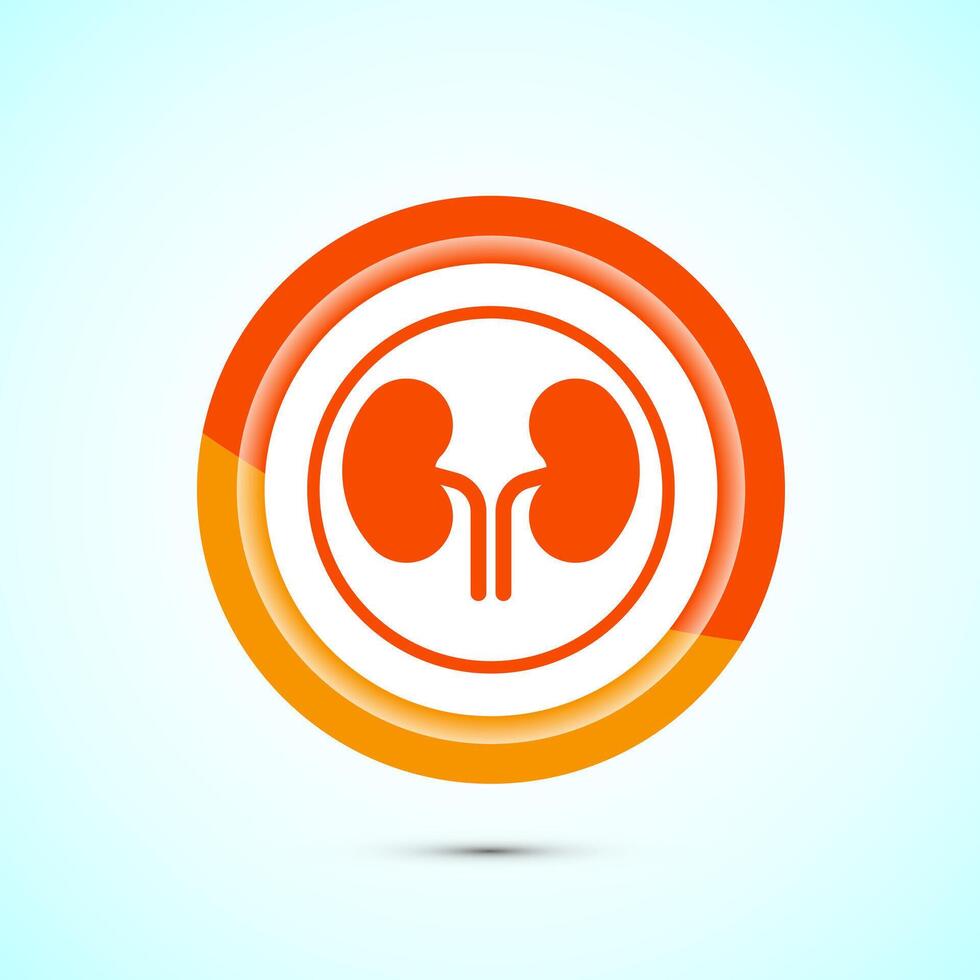 Kidney icon design illustration. Human organ icon, Kidney care logo symbol. Orange color button design vector