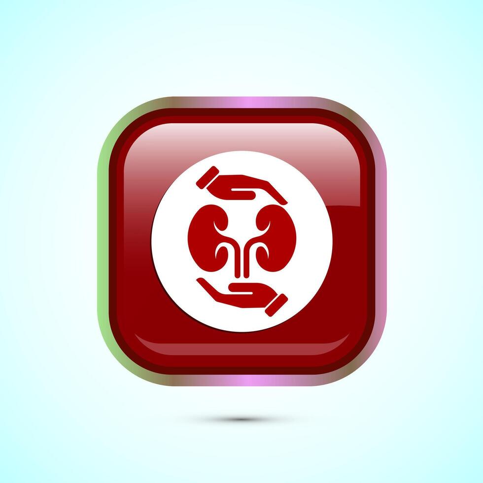 Kidney icon design illustration. Human organ icon, Kidney care logo symbol. Red color square button design vector
