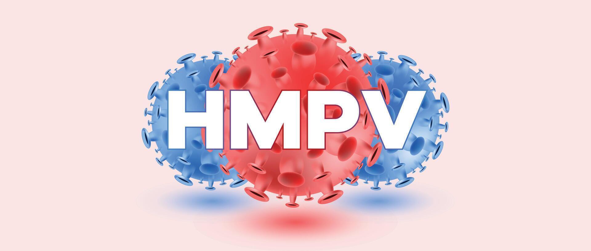 Human metapneumovirus HMPV close up 3D illustration with red and blue viral particles on a light background, representing respiratory illness and virology research vector