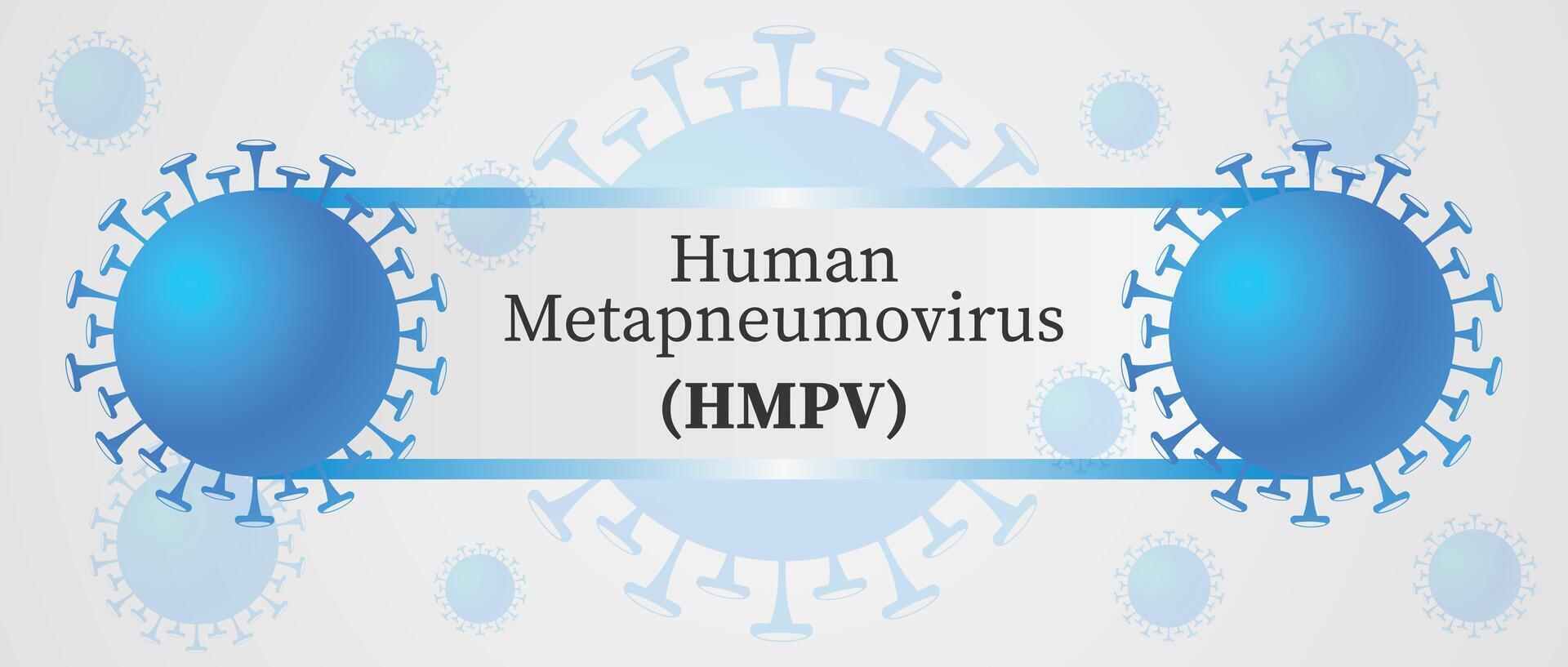Human metapneumovirus HMPV infographic design with blue virus particles and decorative elements for healthcare and education vector