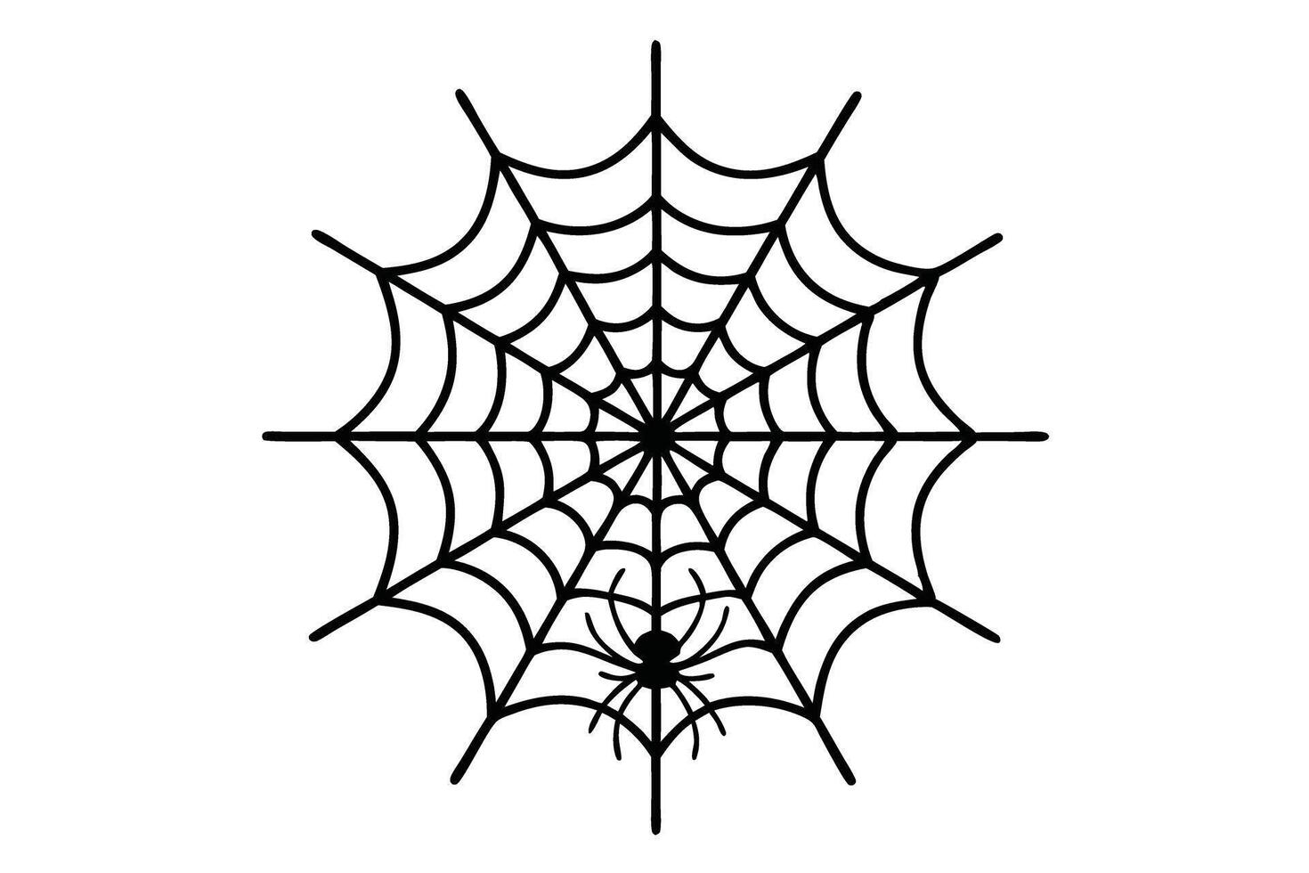 Simple spider web illustration with bold lines and a small spider, showcasing an elegant yet spooky design perfect for Halloween themes vector