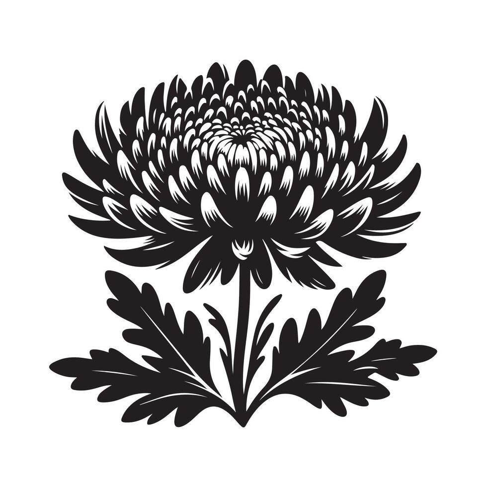 Chrysanthemum Silhouette Graphics for Eco-Friendly and Nature Branding vector