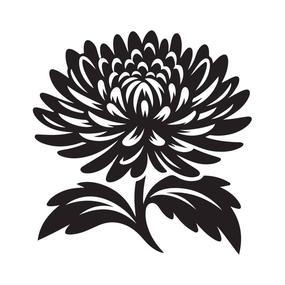 Chrysanthemum Silhouette Illustrations for Posters and Flyers vector