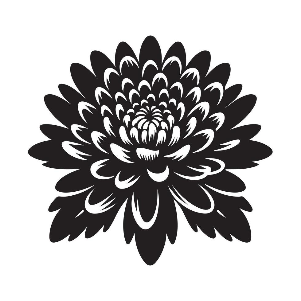 Chrysanthemum Silhouette Illustrations for Art Prints and Digital Graphics vector