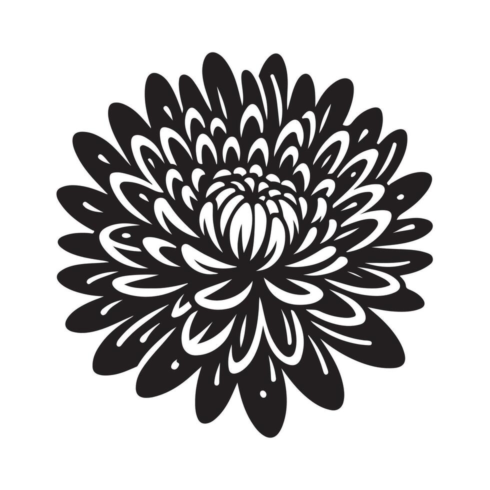Chrysanthemum Silhouette Illustrations for Botanical Art and Nature Themes vector