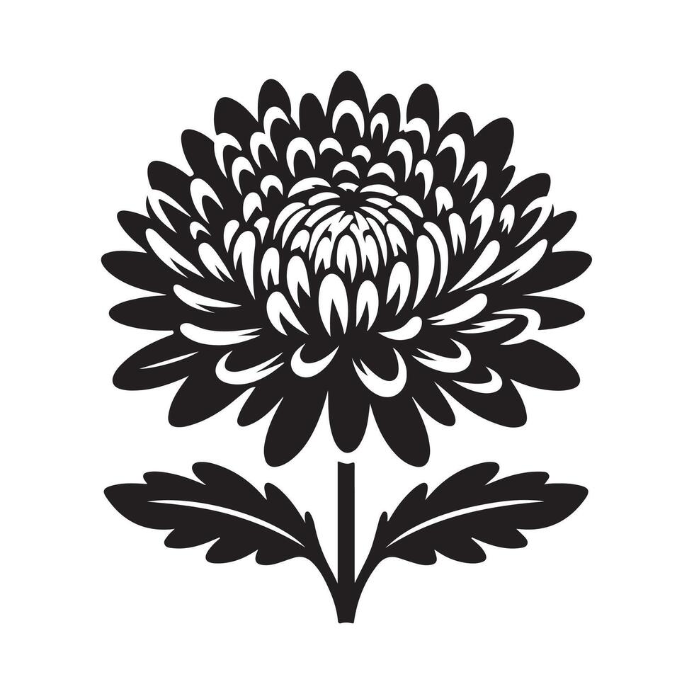 High-Resolution Chrysanthemum Silhouette Illustrations for Designers vector