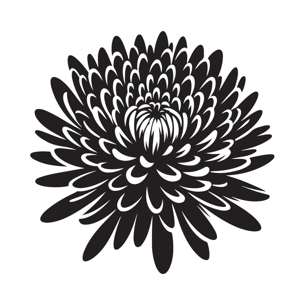 Stylized Chrysanthemum Silhouette Graphics for Art and Illustration vector