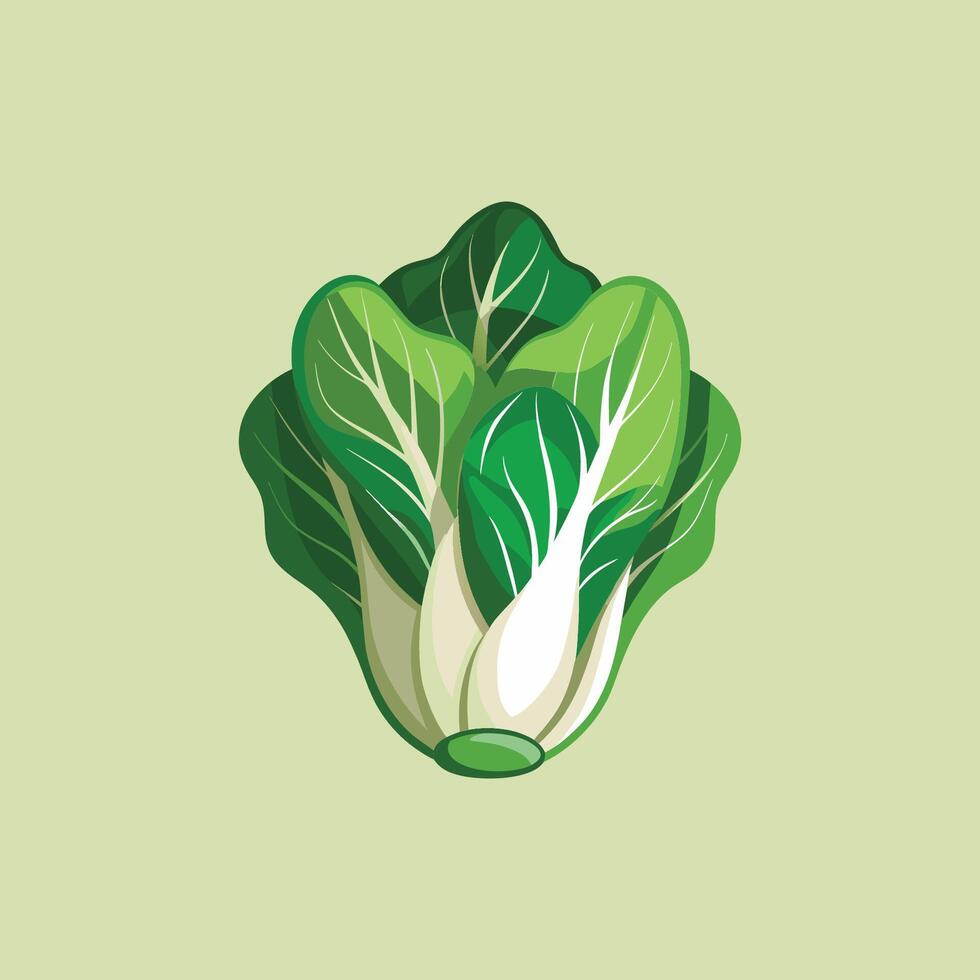 A green leafy vegetable is shown in this illustration vector