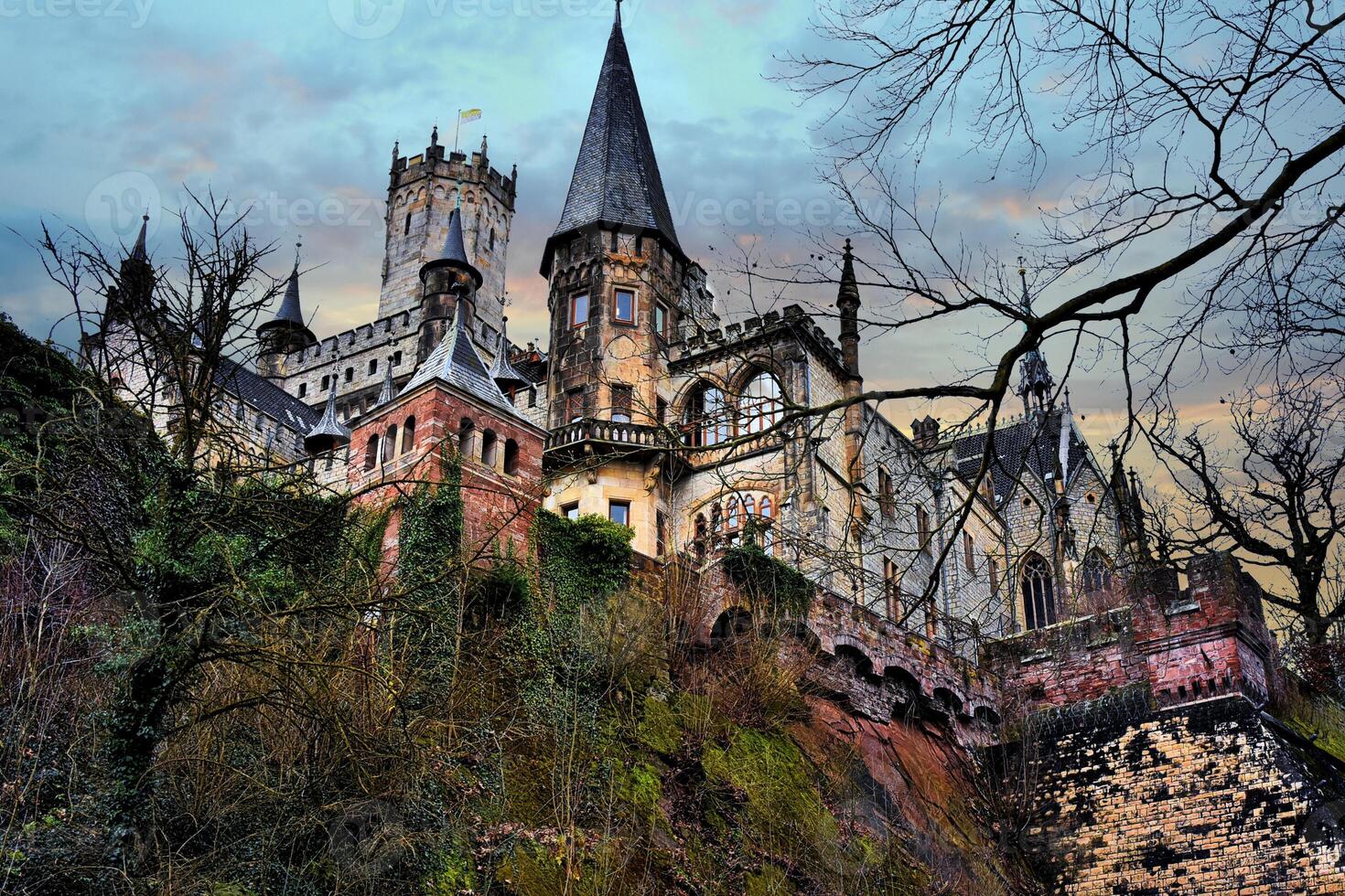 Royalty in the castle photo