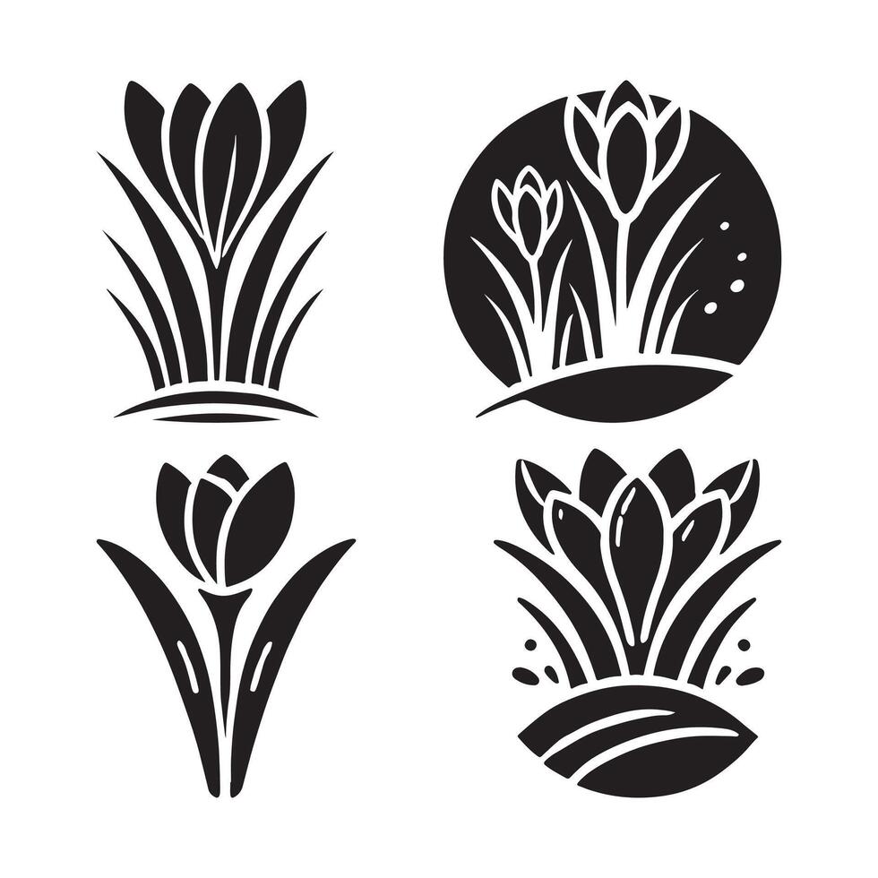 Beautiful Crocus Silhouette Illustrations for Print and Digital Media vector
