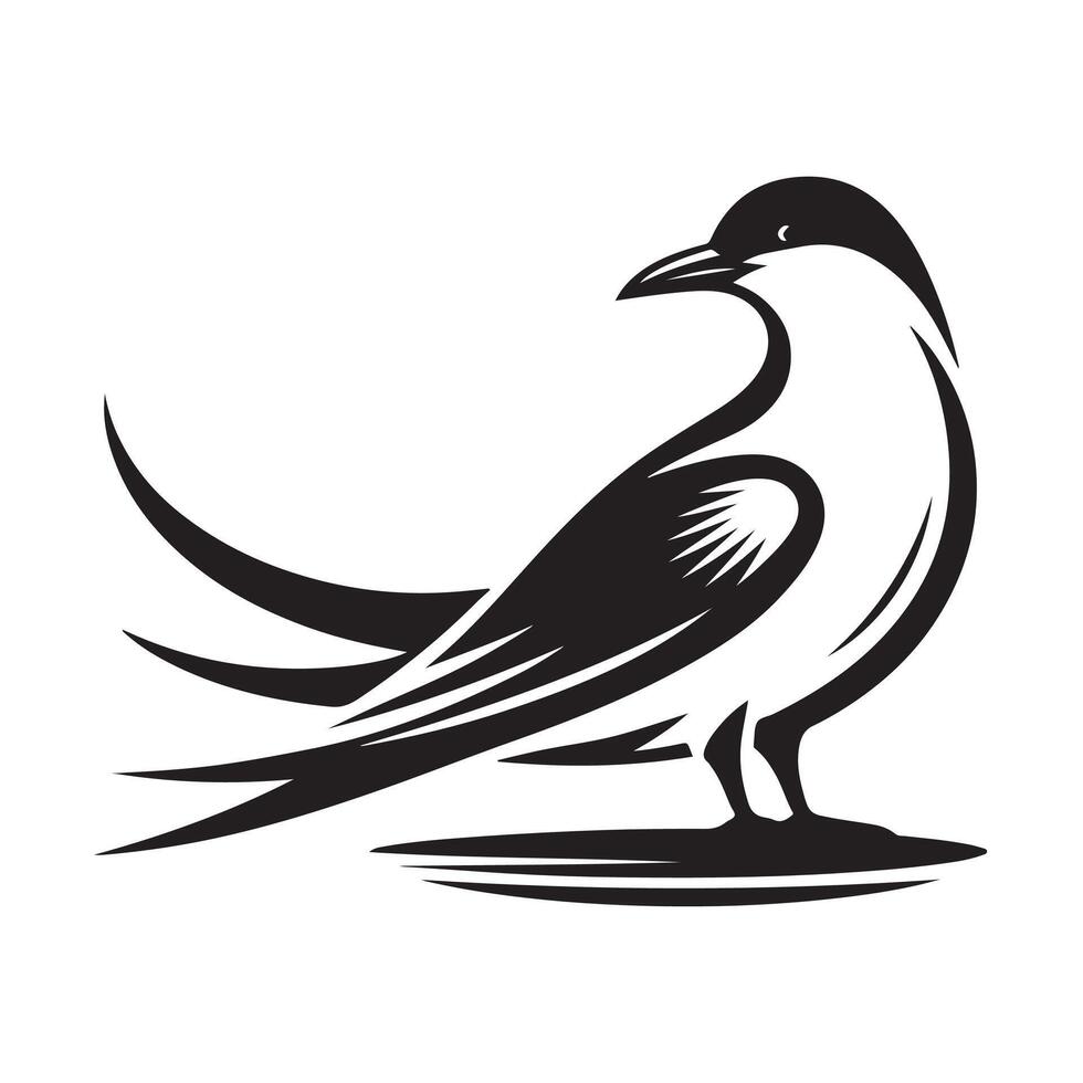 Tropical and Arctic Tern Silhouette Illustrations for Unique Designs vector
