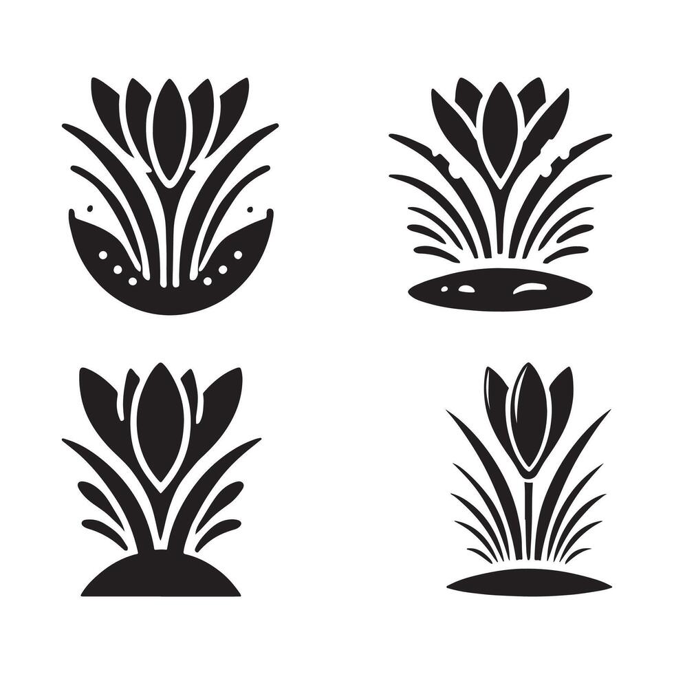 Crocus Silhouette Illustrations for Botanical Prints and Stationery vector