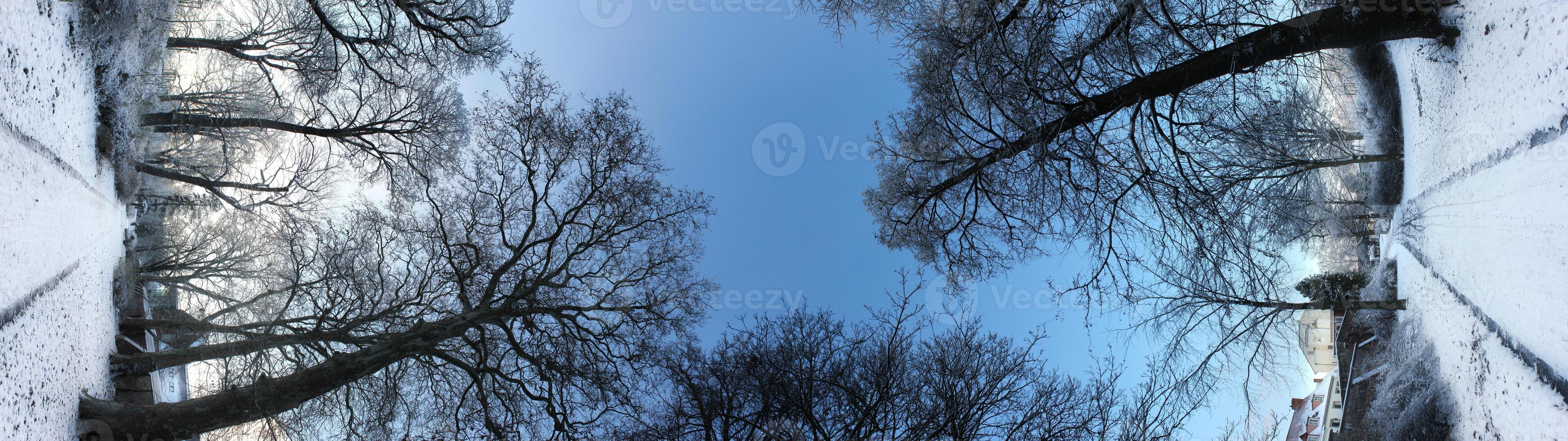 Flip Panorama of Winter Road photo
