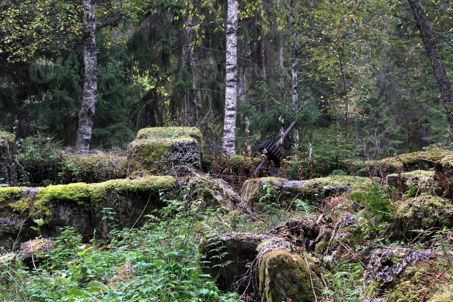 Abandoned place at Famtleden, Varmland in Sweden. photo