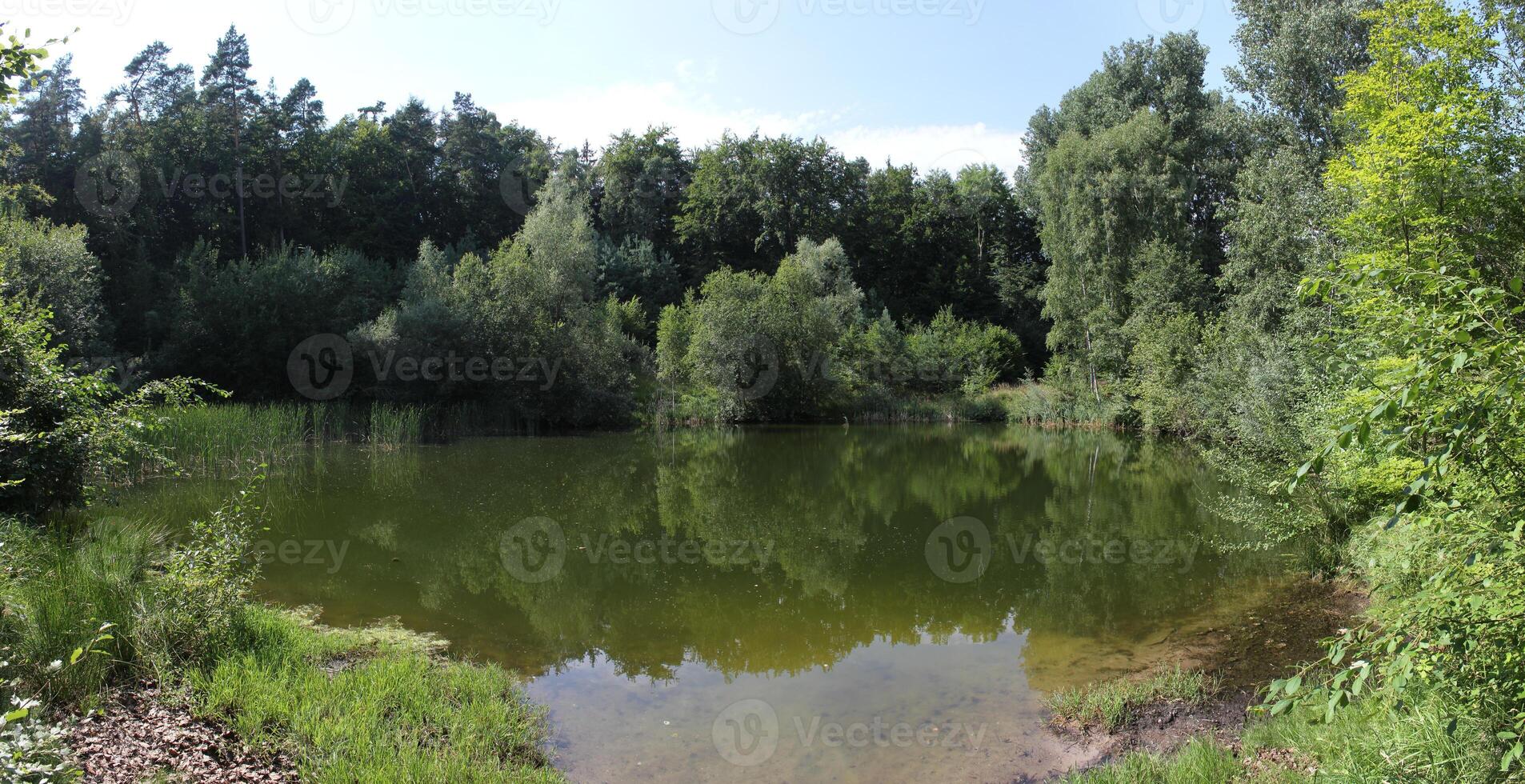 Idyllic small lake in a forest in Mecklenburg-Vorpommern. photo