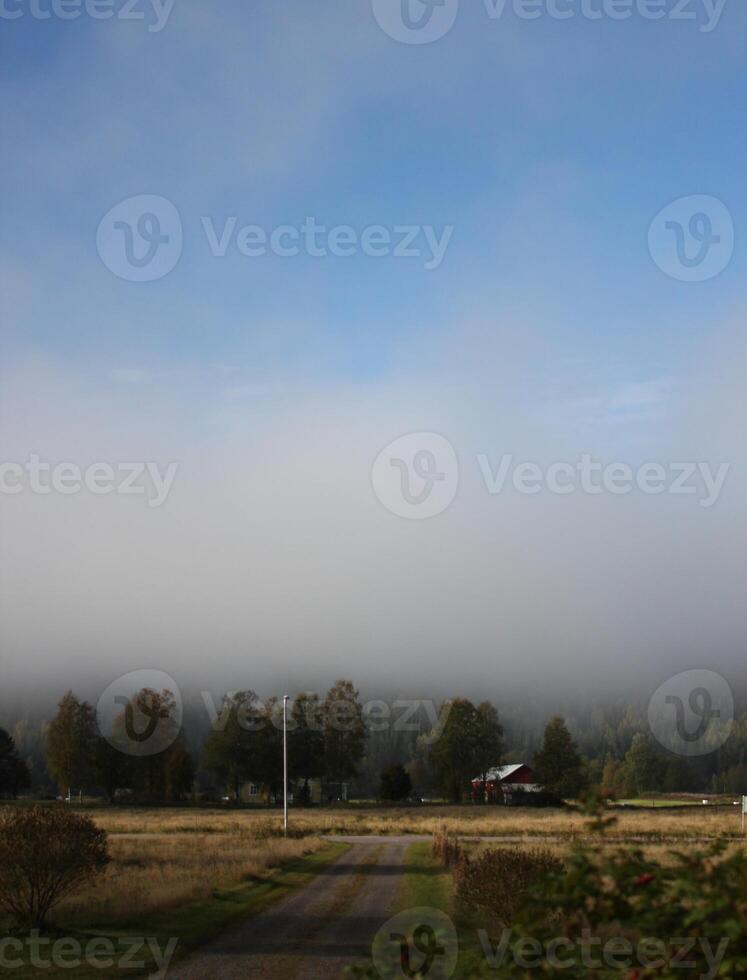 Fog forming in the morning in Varmland, Sweden. photo