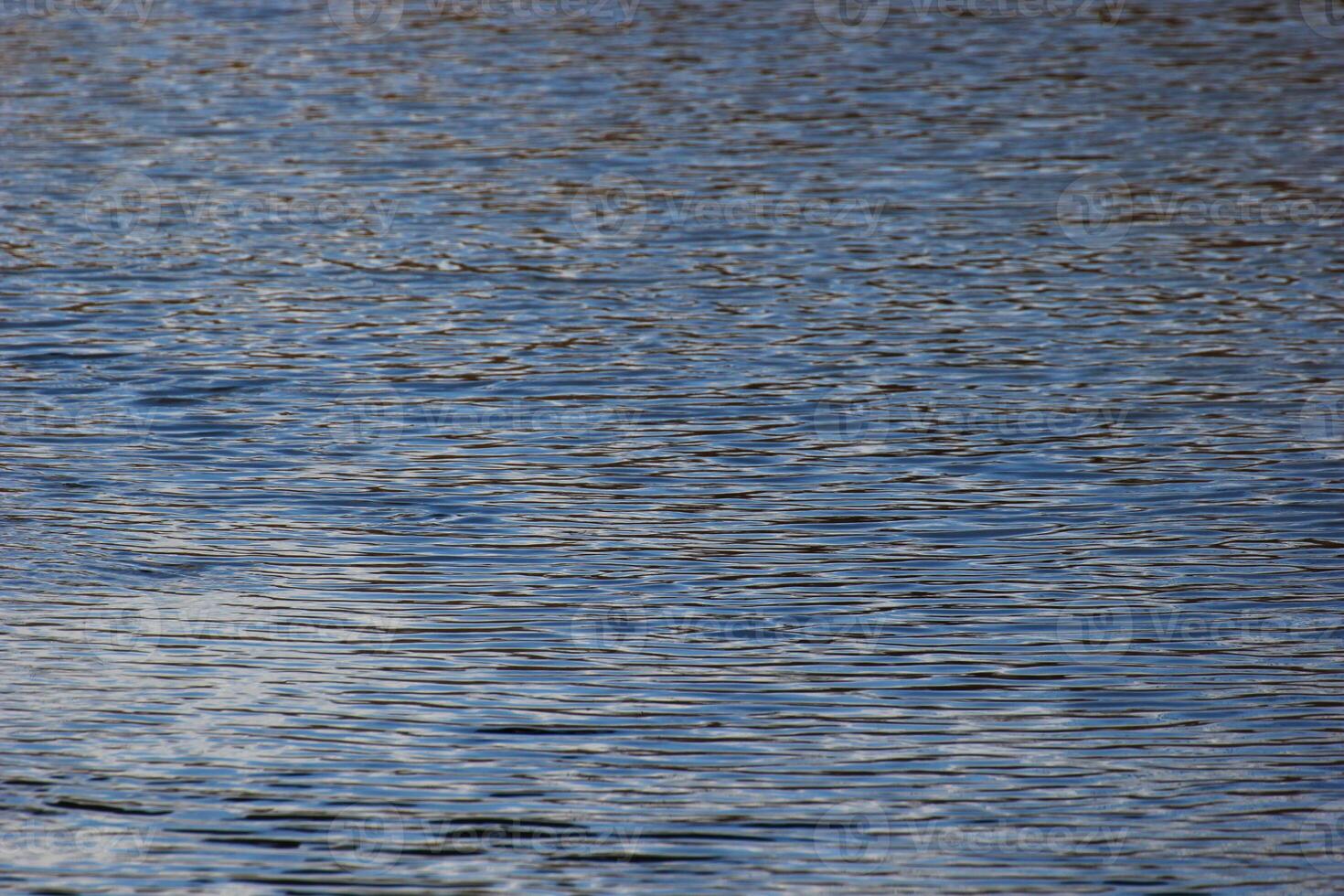 Gently rippled sea. photo