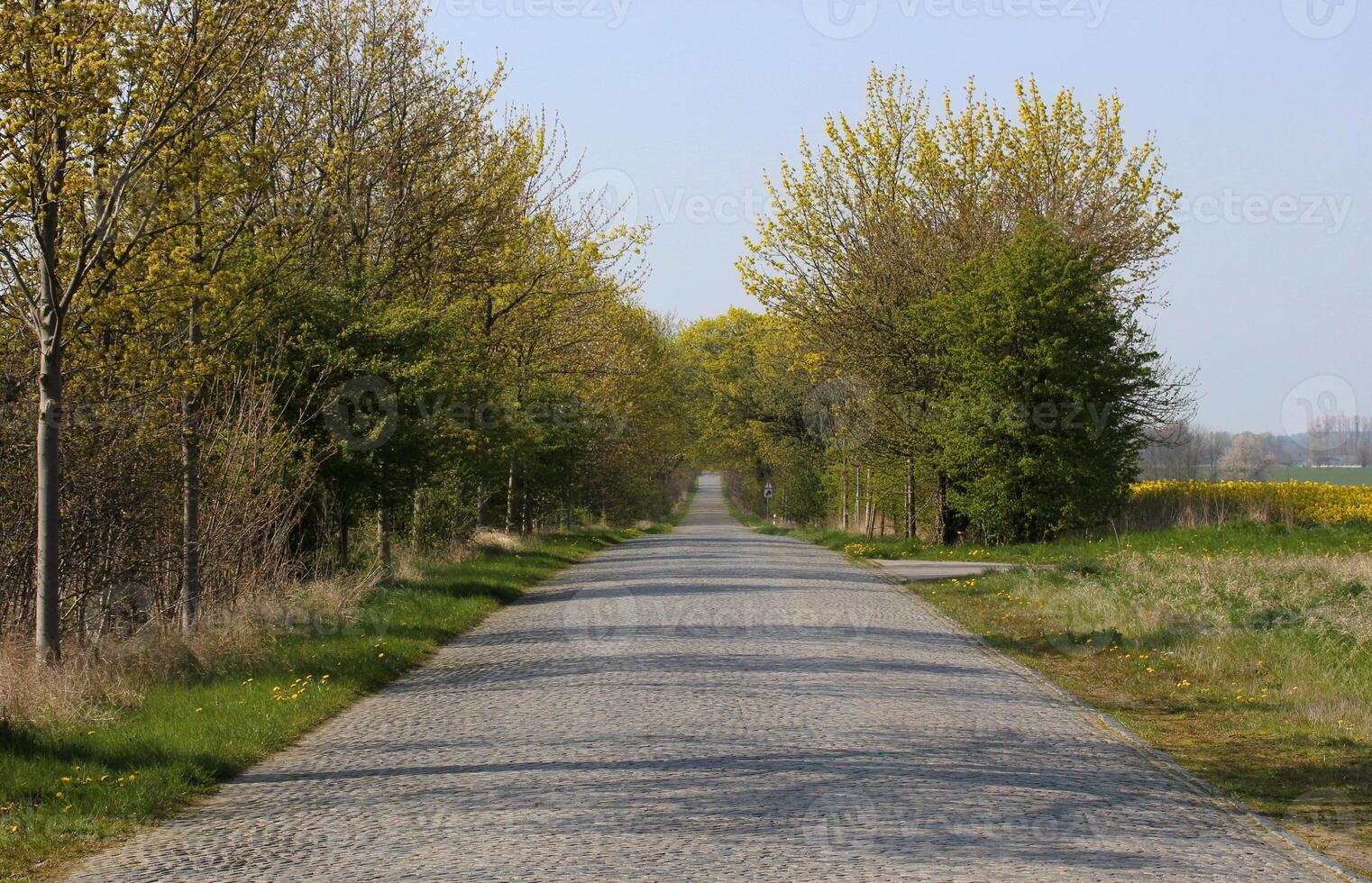 Old paved road between Greifswald and Stralsund, Mecklenburg-Vorpommern, Germany photo