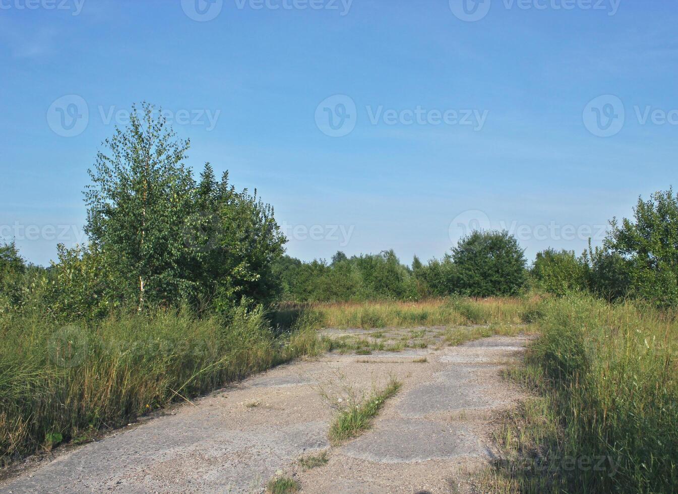 A view of a rural road in Mecklenburg-Vorpommern, Germany. photo