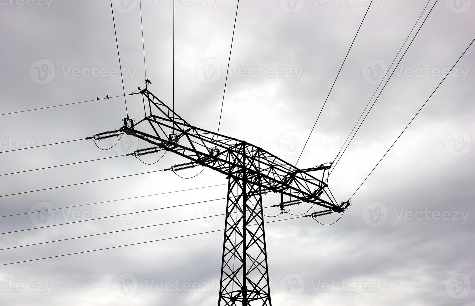 Conceptual shot of the silhouette of a high voltage power line in Mecklenburg-Vorpommern, Germany. photo