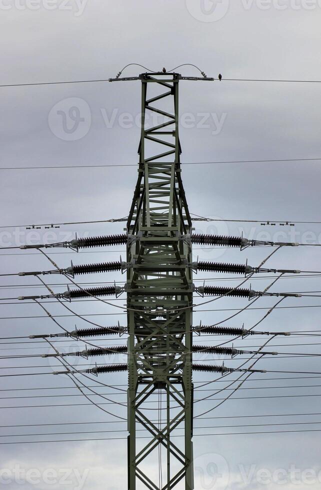 View to the side of a high voltage power line in Mecklenburg-Vorpommern, Germany. photo
