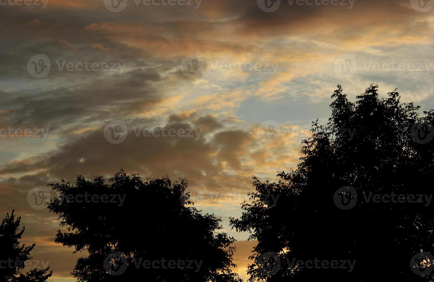Different impressive and colorful clouds in the morning with some tree silhouettes. photo