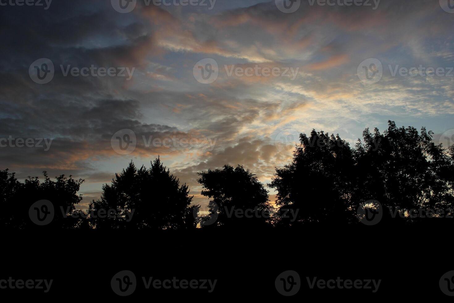 Different impressive and colourful clouds in the morning with some tree silhouettes. photo