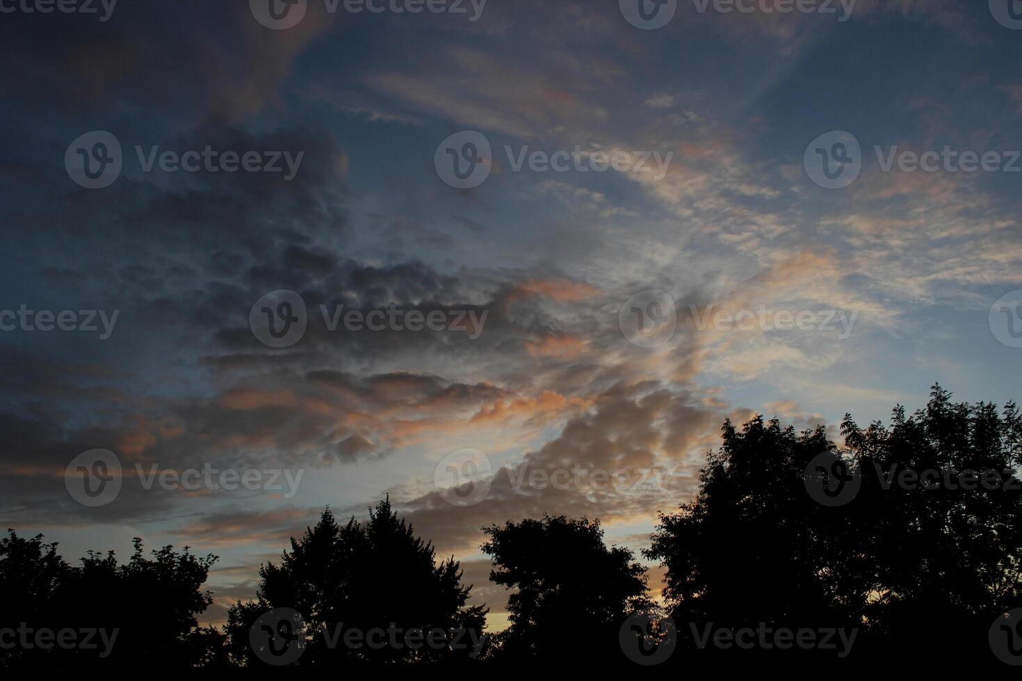 Different impressive and colorful clouds in the morning with tree silhouettes photo