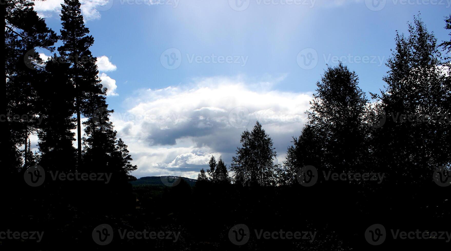 Forest silhouette on blue sky photo