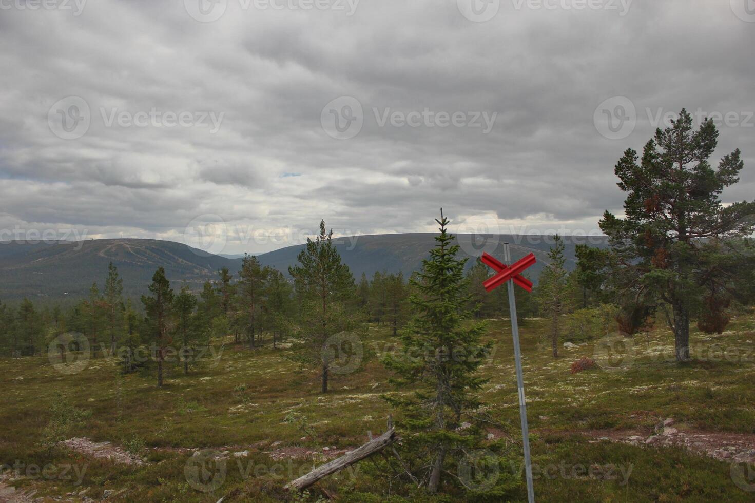 View from Stornaerfjaellet with ski trail near Saelen, Sweden The Image was created using a HDR imaging technique photo