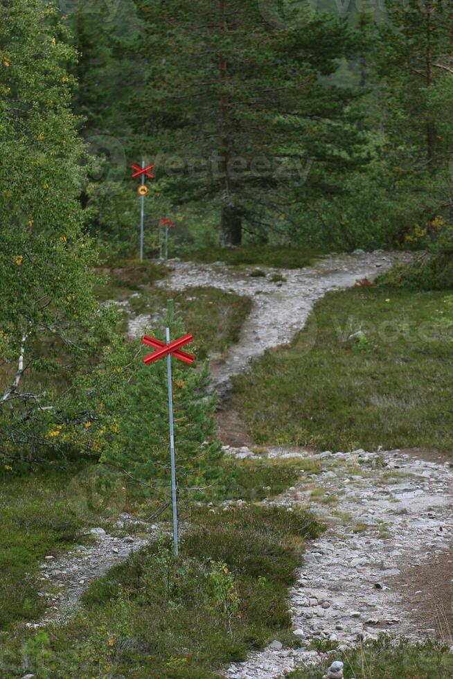 Marked swedish ski trail in summer with rocks. photo