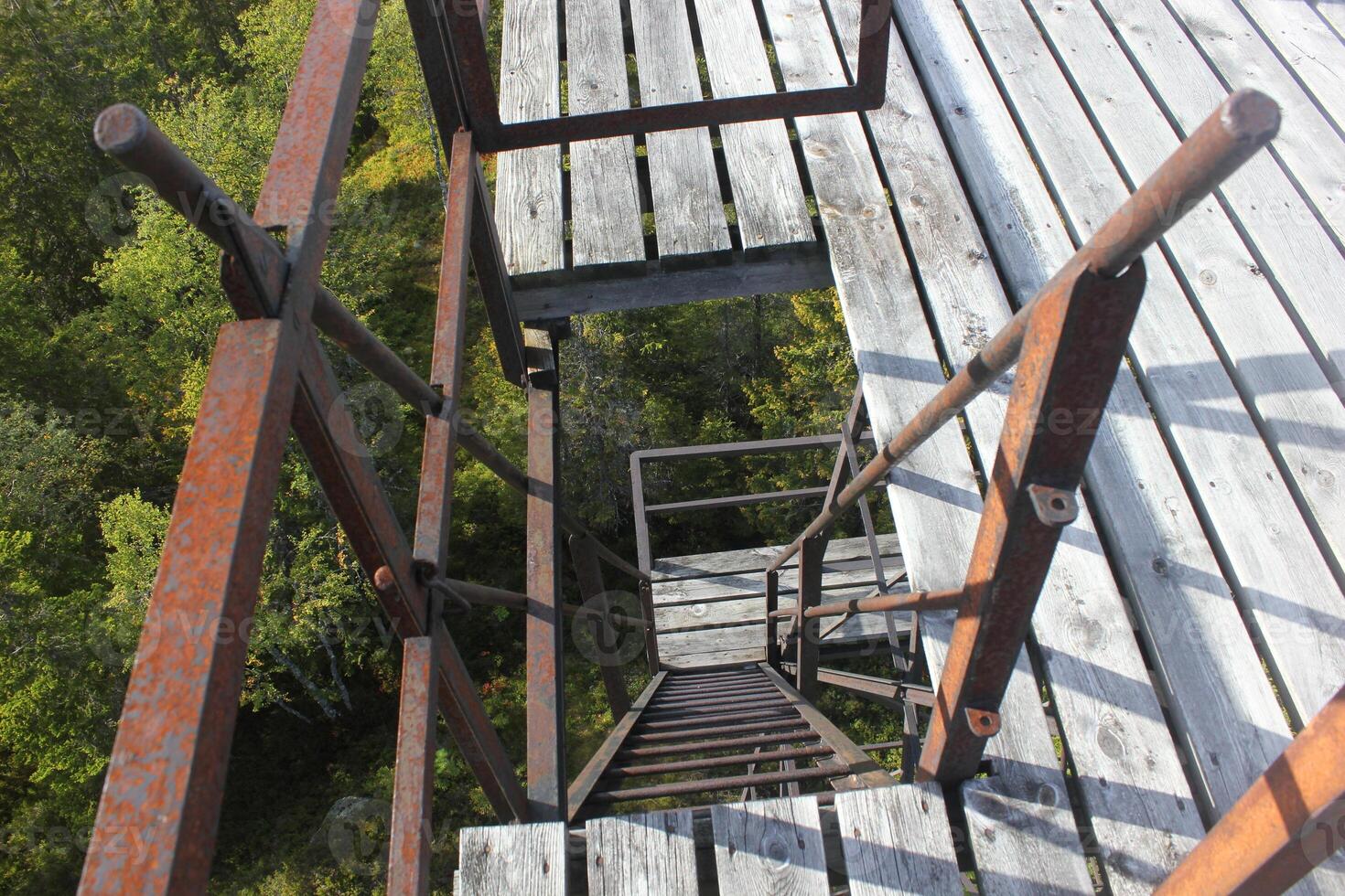 Looking down on steep and rusty ladder steps photo