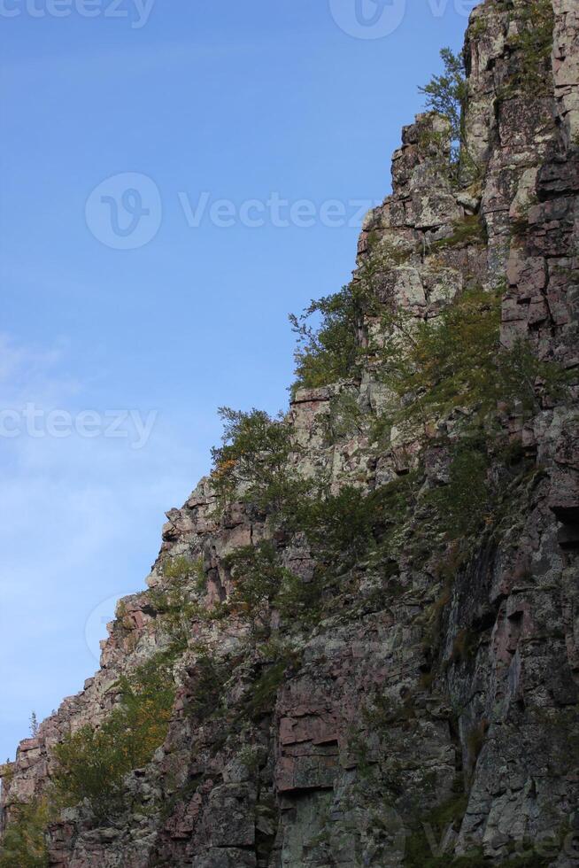 A rock cliff with growing trees photo
