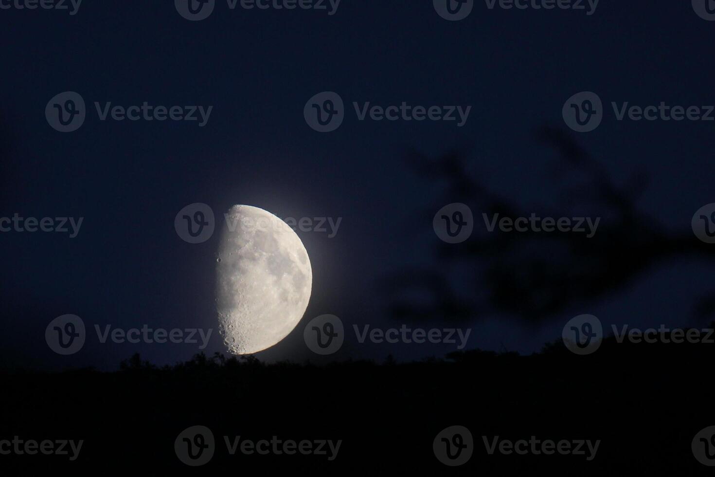 Partial moon on dark blue with slightly visible horizon photo